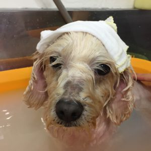 薬用浴ミックス