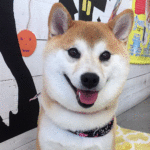 モモちゃんアイキャッチ