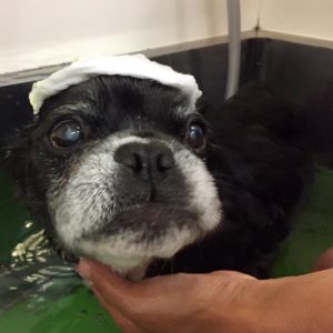 お風呂ミックス