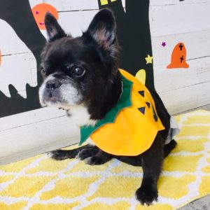 仕上がりミックス