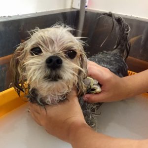 お風呂ミックス