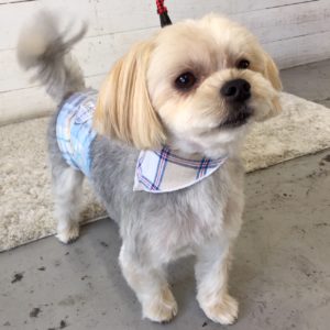 仕上がりミックス