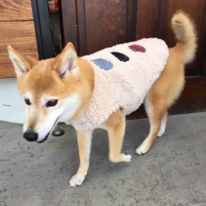 仕上がりミックス