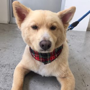 仕上がりミックス