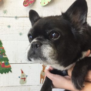 仕上がりミックス