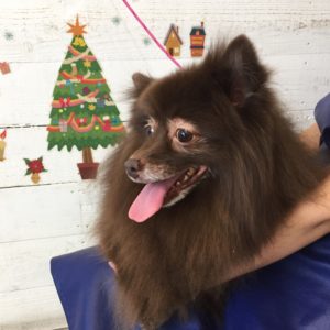 仕上がりミックス