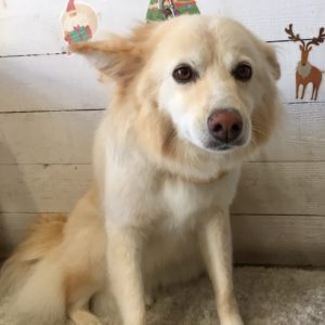 仕上がりミックス