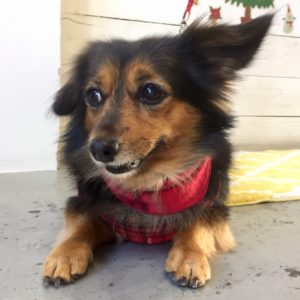 仕上がりミックス