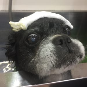 お風呂ミックス