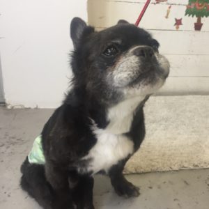 仕上がりミックス