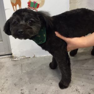 仕上がりミックス