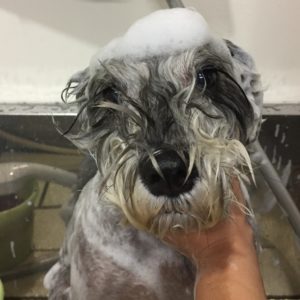 シャンプーMシュナ