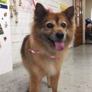 仕上がりミックス