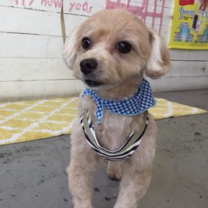 仕上がりミックス