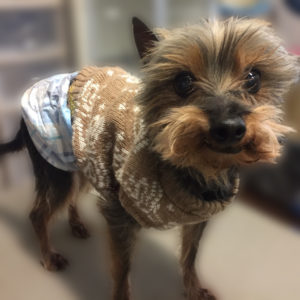 よろしくミックス