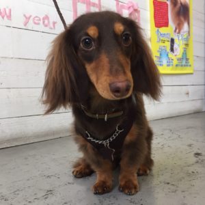 凜ちゃん施術後