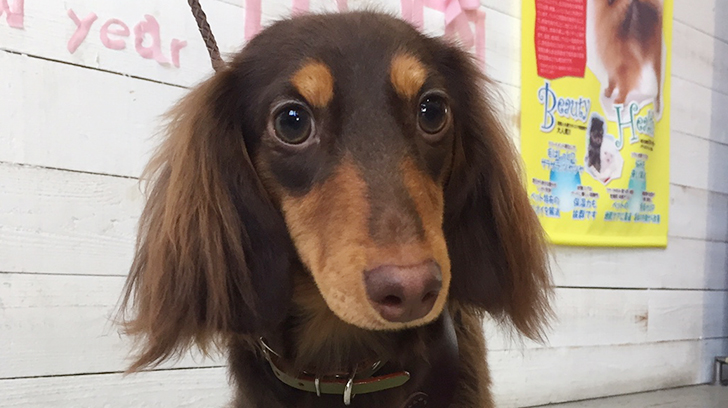 凜ちゃんアイキャッチ