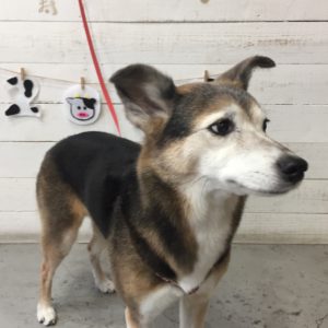 仕上がりミックス