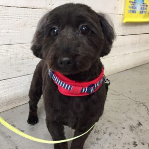 仕上がりミックス