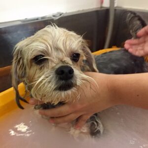 お風呂ミックス