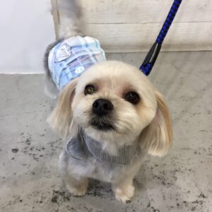 仕上がりミックス