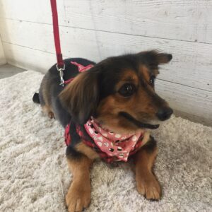 仕上がりミックス