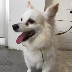 仕上がりミックス