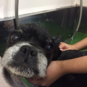 お風呂ミックス