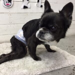 仕上がりミックス