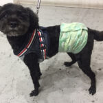 柊ちゃんアイキャッチ