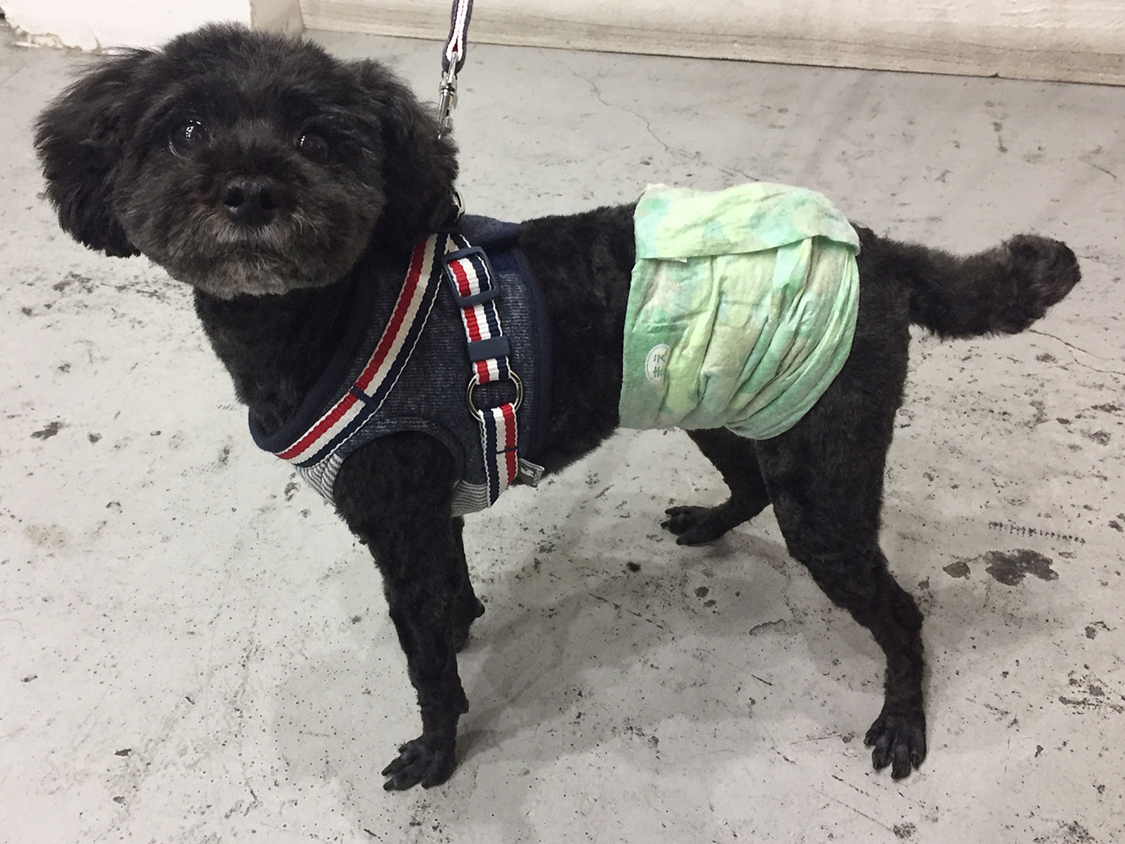 柊ちゃんアイキャッチ