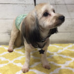 陽ちゃんアイキャッチ