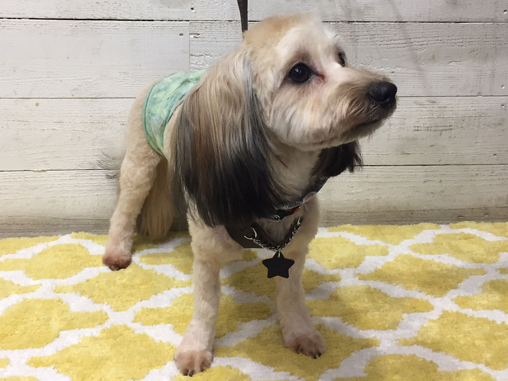 陽ちゃんアイキャッチ