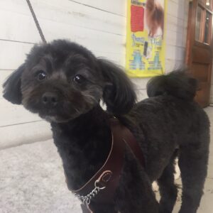 仕上がりミックス