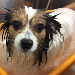 メルちゃんスパ中