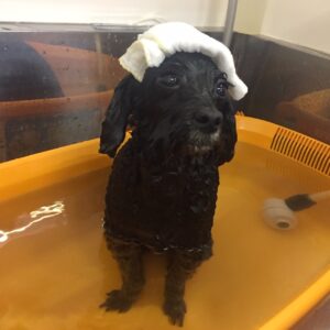 柊ちゃんスパ中