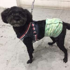 柊ちゃん施術後