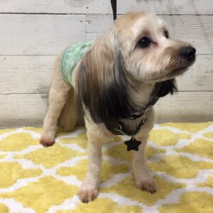 陽ちゃん施術後