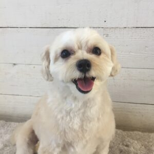 仕上がりミックス