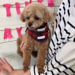 小夏ちゃん施術後