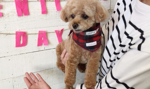 小夏ちゃんアイキャッチ