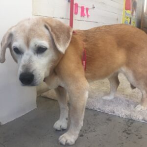 仕上がりミックス