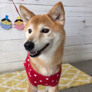 仕上がりミックス