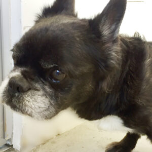 仕上がりミックス