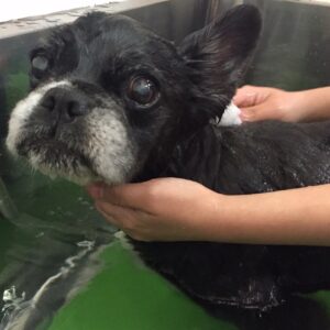 お風呂ミックス