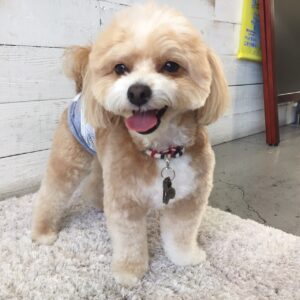 仕上がりミックス