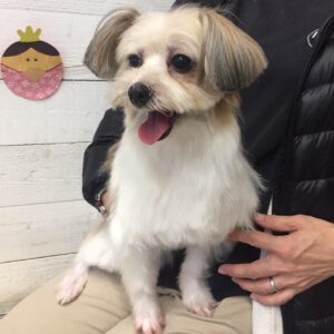 仕上がりミックス