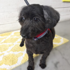 仕上がりミックス