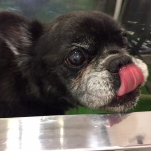 お風呂ミックス