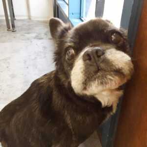 仕上がりミックス